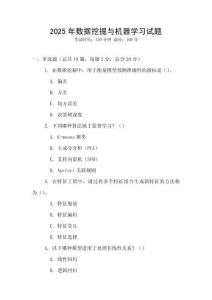 2025年數(shù)據(jù)挖掘與機器學(xué)習(xí)試題