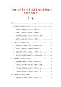 2026及未來5年中國墨水漬去除劑行業發展研究報告