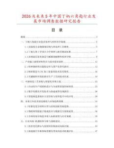 2026及未来5年中国丁柄六角匙行业发展市场调查数据研究报告