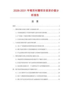 2026-2031年錐形襯圈項目投資價值分析報告