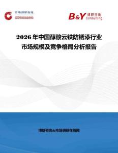 2026年中國醇酸云鐵防銹漆行業市場規模及競爭格局分析報告