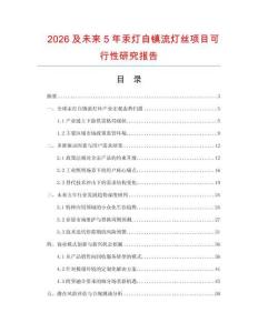 2026及未來5年汞燈自鎮流燈絲項目可行性研究報告