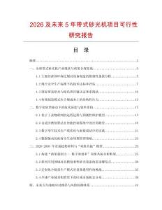 2026及未來5年帶式砂光機項目可行性研究報告