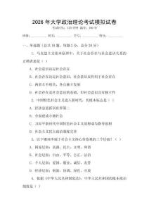 2026年大學政治理論考試模擬試卷