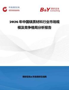 2026年中國鎂質材料行業市場規模及競爭格局分析報告