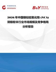 2026年中國鎳鈷鋁氧化物 (NCA) 陰極粉末行業市場規模及競爭格局分析報告