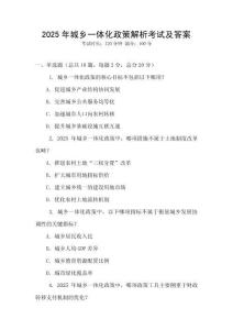 2025年城乡一体化政策解析考试及答案