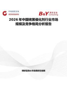 2026年中国铑黑催化剂行业市场规模及竞争格局分析报告