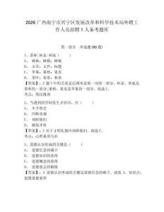 2026廣西南寧市興寧區發展改革和科學技術局外聘工作人員招聘1人備考題庫附答案詳解（綜合題）