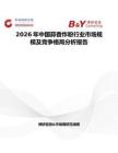 2026年中國蒜香炸粉行業市場規模及競爭格局分析報告