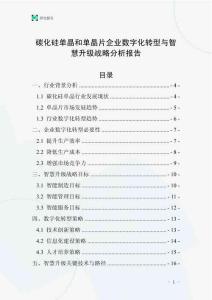 碳化硅單晶和單晶片企業(yè)數(shù)字化轉(zhuǎn)型與智慧升級戰(zhàn)略分析報告