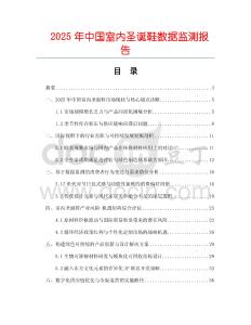 2025年中國室內圣誕鞋數據監測報告