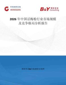 2026年中國話梅粉行業(yè)市場規(guī)模及競爭格局分析報告