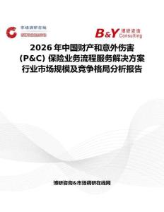 2026年中國財產和意外傷害 (P&C) 保險業務流程服務解決方案行業市場規模及競爭格局分析報告