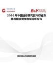 2026年中國迷你蒸氣熨斗行業市場規模及競爭格局分析報告