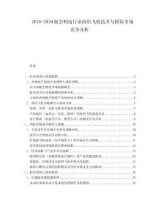 2025-2030航空制造行業商用飛機技術與國際市場競爭分析
