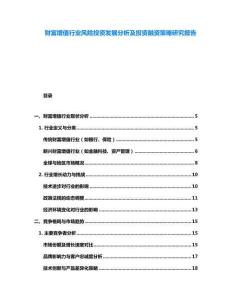 財富增值行業風險投資發展分析及投資融資策略研究報告