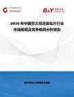 2026年中國芬太尼透皮貼片行業市場規模及競爭格局分析報告