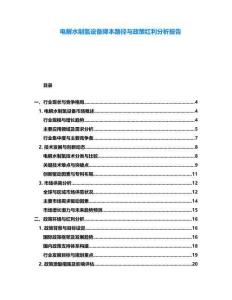 電解水制氫設(shè)備降本路徑與政策紅利分析報(bào)告