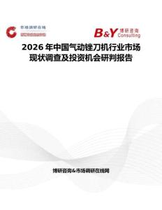 2026年中國氣動銼刀機行業市場現狀調查及投資機會研判報告