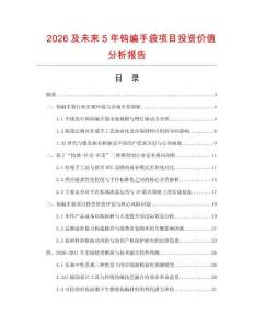 2026及未來(lái)5年鉤編手袋項(xiàng)目投資價(jià)值分析報(bào)告