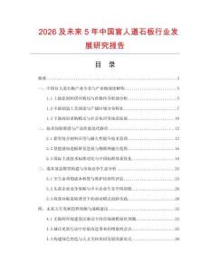 2026及未来5年中国盲人道石板行业发展研究报告