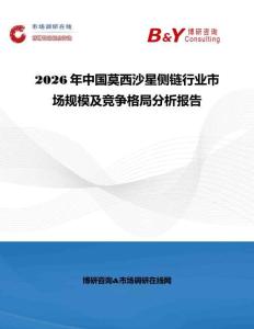 2026年中國莫西沙星側鏈行業市場規模及競爭格局分析報告