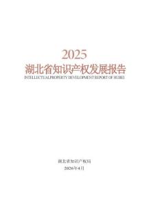 2025湖北省知識產(chǎn)權(quán)發(fā)展報告