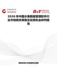 2026年中國水表數據管理軟件行業市場現狀調查及投資機會研判報告