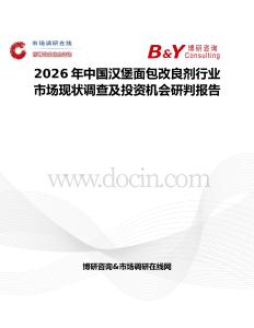 2026年中國漢堡面包改良劑行業(yè)市場現(xiàn)狀調(diào)查及投資機(jī)會研判報告