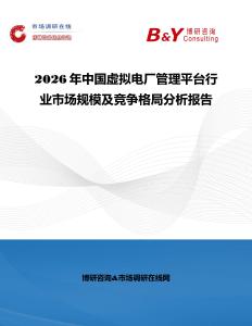 2026年中國虛擬電廠管理平臺行業市場規模及競爭格局分析報告