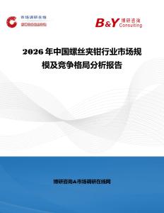 2026年中國螺絲夾鉗行業(yè)市場規(guī)模及競爭格局分析報(bào)告