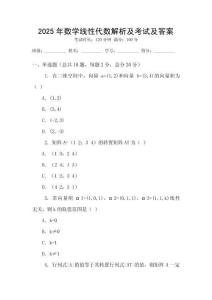 2025年數(shù)學(xué)線性代數(shù)解析及考試及答案