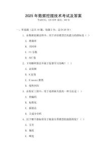 2025年數據挖掘技術考試及答案