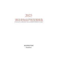 2025湖北省知識產(chǎn)權(quán)發(fā)展報告