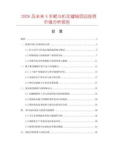 2026及未來5年耙斗機花鍵軸項目投資價值分析報告