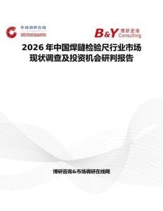 2026年中國焊鏠檢驗尺行業市場現狀調查及投資機會研判報告