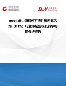 2026年中國超純可溶性聚四氟乙烯（PFA）行業(yè)市場規(guī)模及競爭格局分析報(bào)告