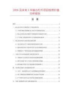 2026及未來5年蛙心杠桿項目投資價值分析報告