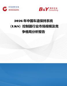 2026年中國車道保持系統(tǒng)（LKS）控制器行業(yè)市場規(guī)模及競爭格局分析報(bào)告