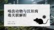 啮齿动物与汉坦病毒关联解析
