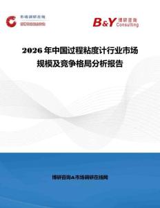 2026年中國過程粘度計行業市場規模及競爭格局分析報告