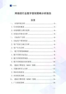 網絡鉗行業數字營銷策略分析報告