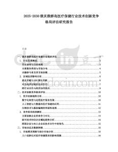 2025-2030俄亥俄群島醫(yī)療保健行業(yè)技術(shù)創(chuàng)新競爭格局評估研究報(bào)告