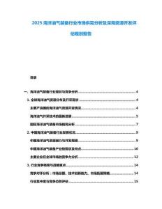 2025海洋油氣裝備行業(yè)市場供需分析及深海資源開發(fā)評估規(guī)劃報告