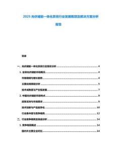 2025光伏儲(chǔ)能一體化系統(tǒng)行業(yè)發(fā)展瓶頸及解決方案分析報(bào)告