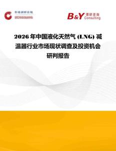2026年中國液化天然氣 (LNG) 減溫器行業市場現狀調查及投資機會研判報告