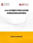 2026年中國版干手器行業市場現狀調查及投資機會研判報告