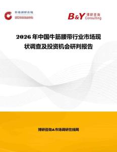 2026年中國(guó)牛筋腰帶行業(yè)市場(chǎng)現(xiàn)狀調(diào)查及投資機(jī)會(huì)研判報(bào)告