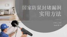 居家防鼠封堵漏洞實(shí)用方法